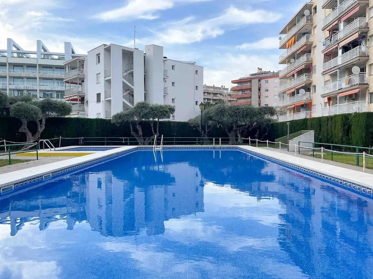 公寓 Top Location With A Pool And Terrace! 萨洛 西班牙