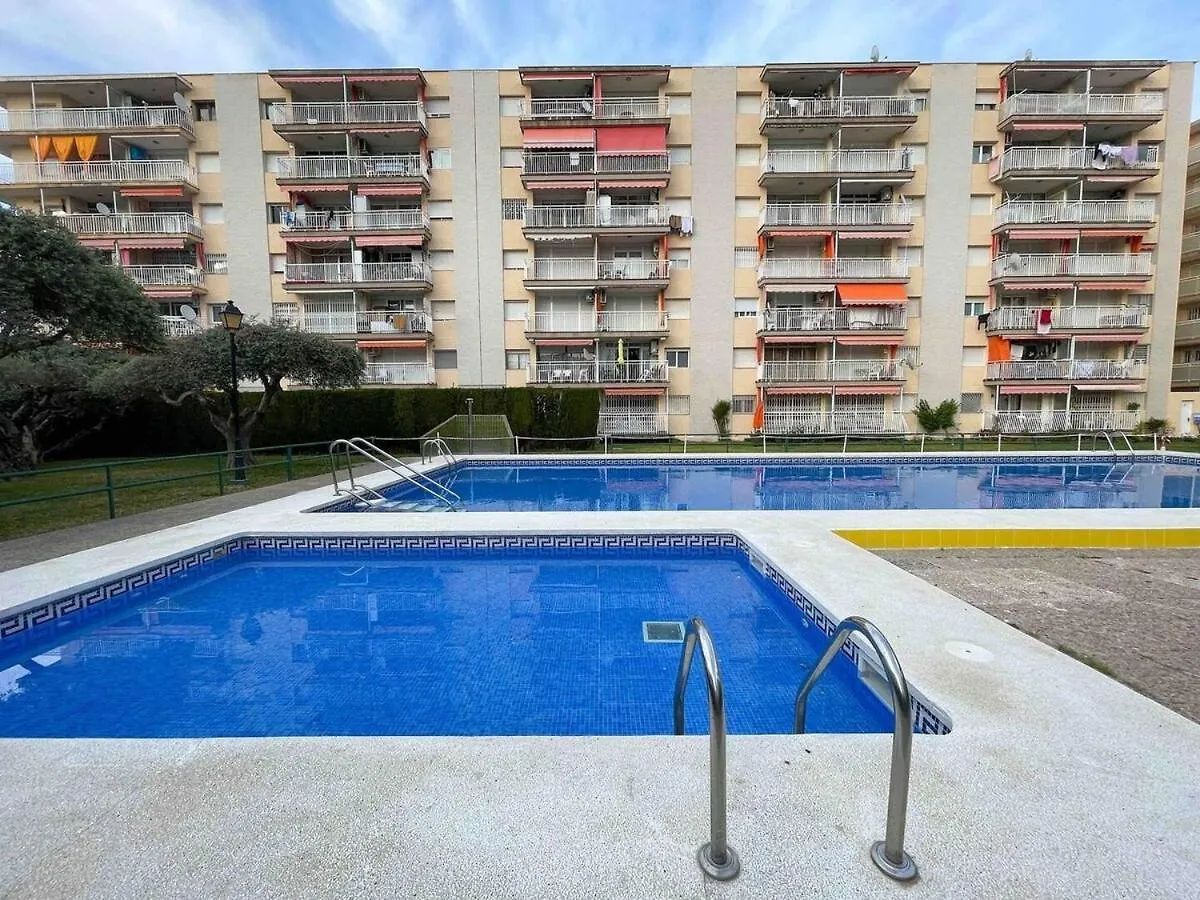 公寓 Top Location With A Pool And Terrace! 萨洛