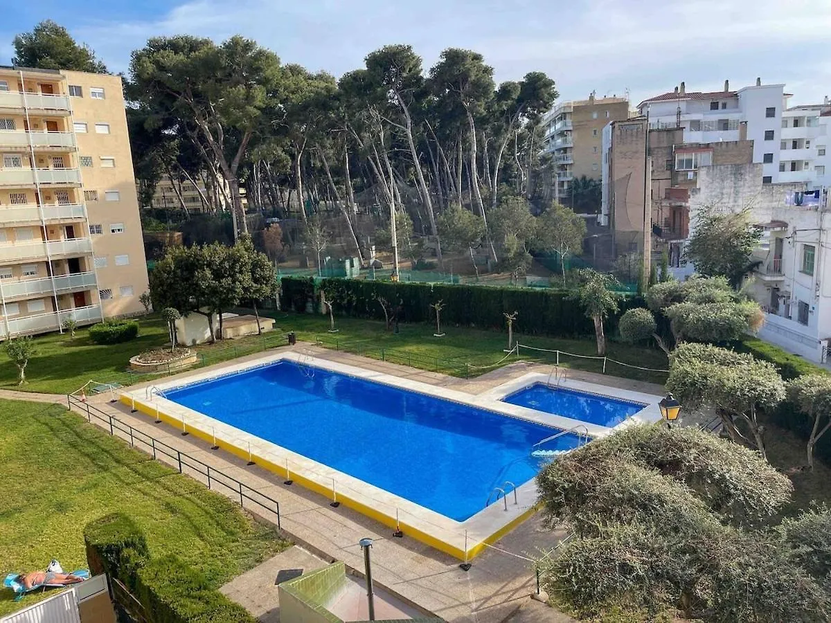 Top Location With A Pool And Terrace! 萨洛